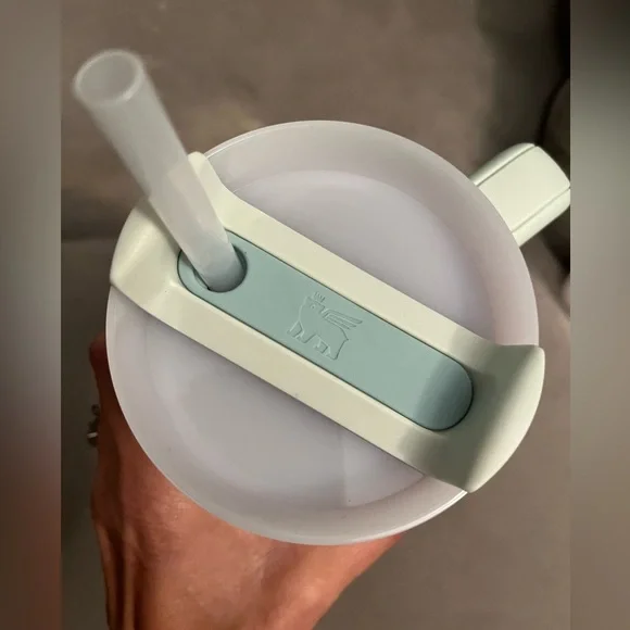 Stanley Quencher H2.0 30oz Tumbler NWT’s & Disney+More Straw Toppers Included - Picture 8 of 10